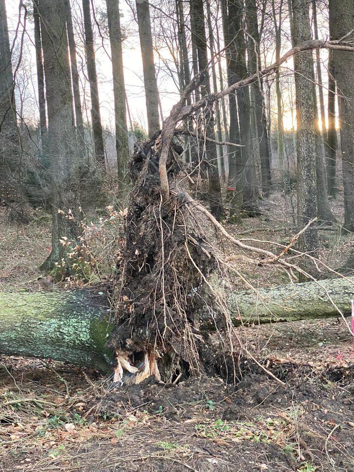 Kuzey ve Orta Avrupa Sabine Kasırgası'nın etkisi altında! Seferler iptal edildi G4