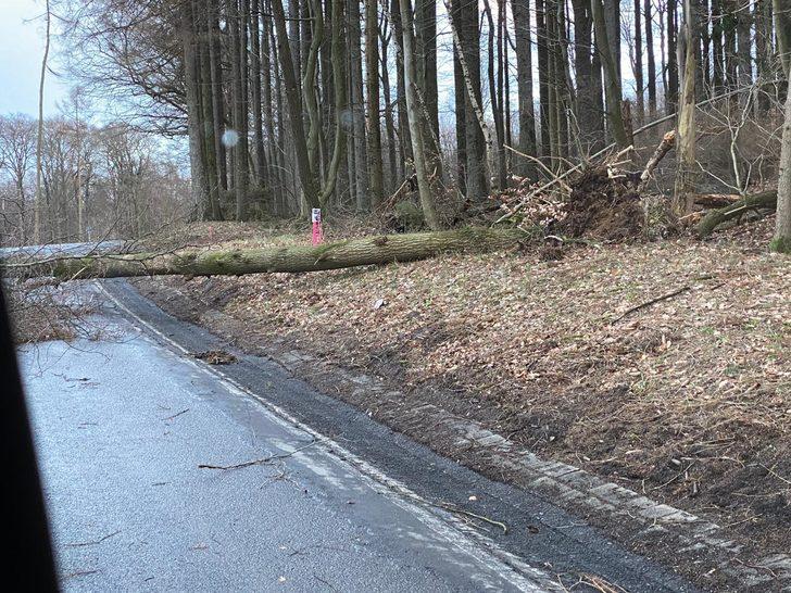 Kuzey ve Orta Avrupa Sabine Kasırgası'nın etkisi altında! Seferler iptal edildi G5