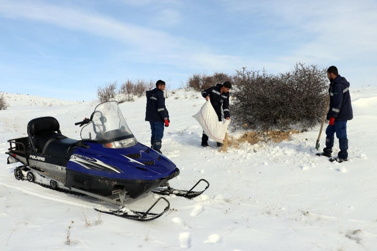 Enerji timleri yaban hayvanlarını unutmadı