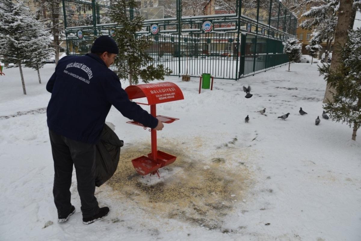 Melikgazi&rsquo;de sokak hayvanları unutulmadı