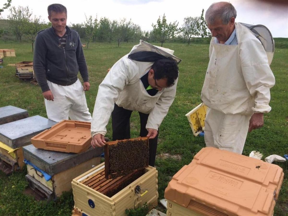B&uuml;y&uuml;kşehir&rsquo;de arıcılık eğitim başladı