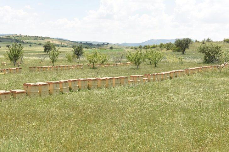 Büyükşehir’de arıcılık eğitim başladı G3