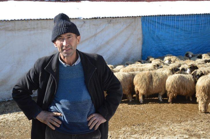 Dağdan kopan kayalar ahırın üzerine düştü, çok sayıda hayvan telef oldu G4