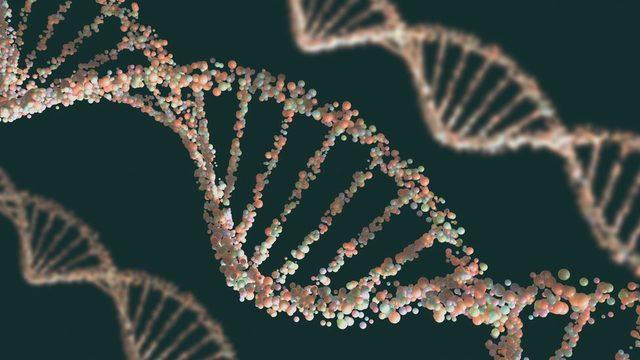 Illustration of the double helix structure of the DNA