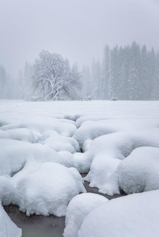 Yosemite Ulusal Parkı Park, California, ABD