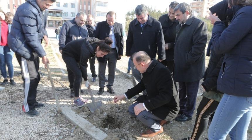 Mersin&rsquo;de okul bah&ccedil;elerine 400 h&uuml;nnap fidanı dikildi