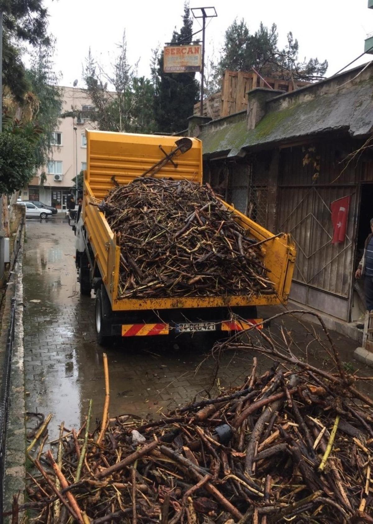 Taşkınlarla sahile dolan odunlar, ihtiya&ccedil; sahiplerine dağıtılacak