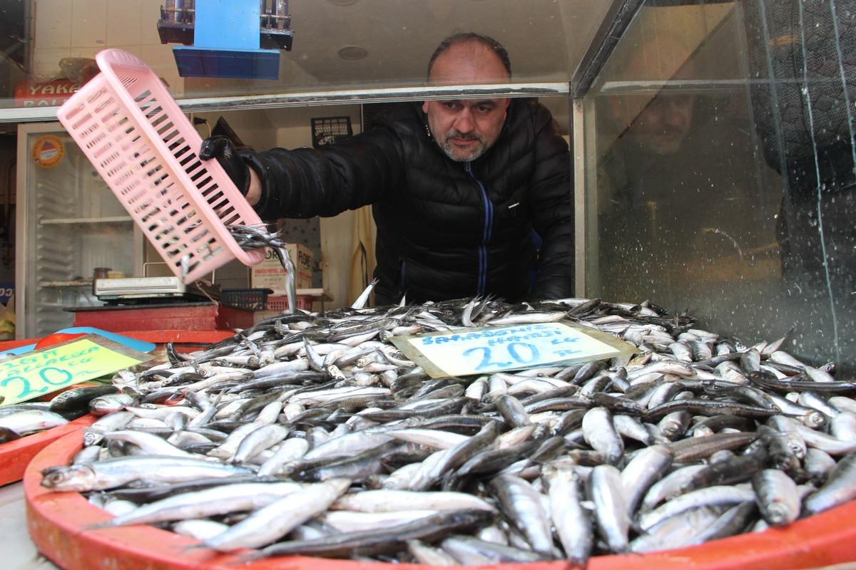 Yağlı hamsi tezgahtaki yerini aldı! Kilosu 20 liradan satılıyor