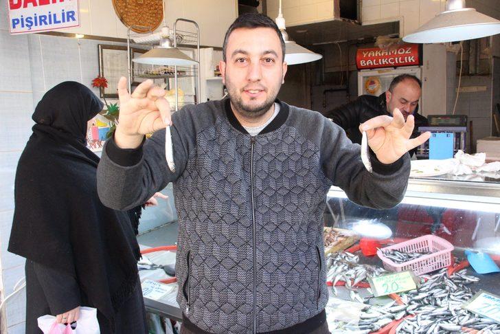 Yağlı hamsi tezgahtaki yerini aldı! Kilosu 20 liradan satılıyor G2