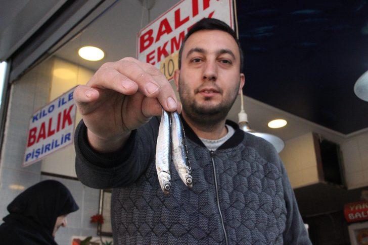 Yağlı hamsi tezgahtaki yerini aldı! Kilosu 20 liradan satılıyor G3