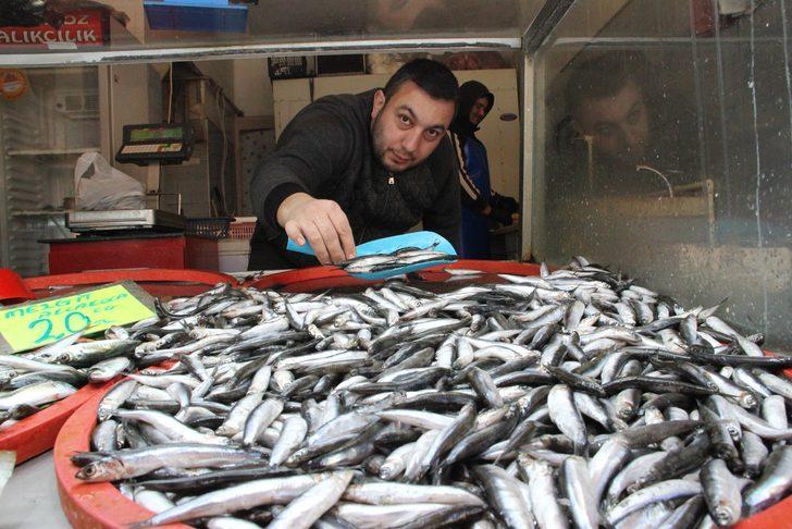 Yağlı hamsi tezgahtaki yerini aldı! Kilosu 20 liradan satılıyor G4