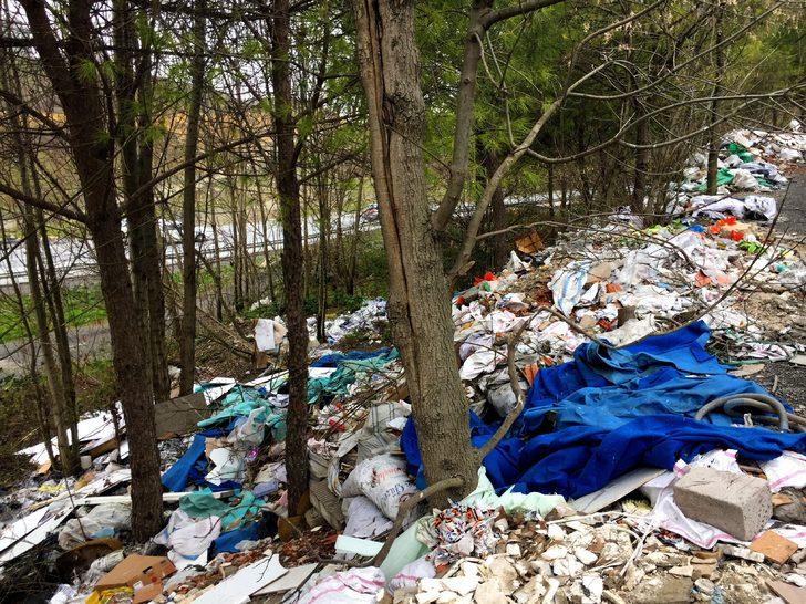 Başakşehir'de ormanlık alanı molozla doldurdular G5