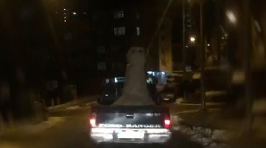 Trabzon'da kardan adamla şehir turu attı 