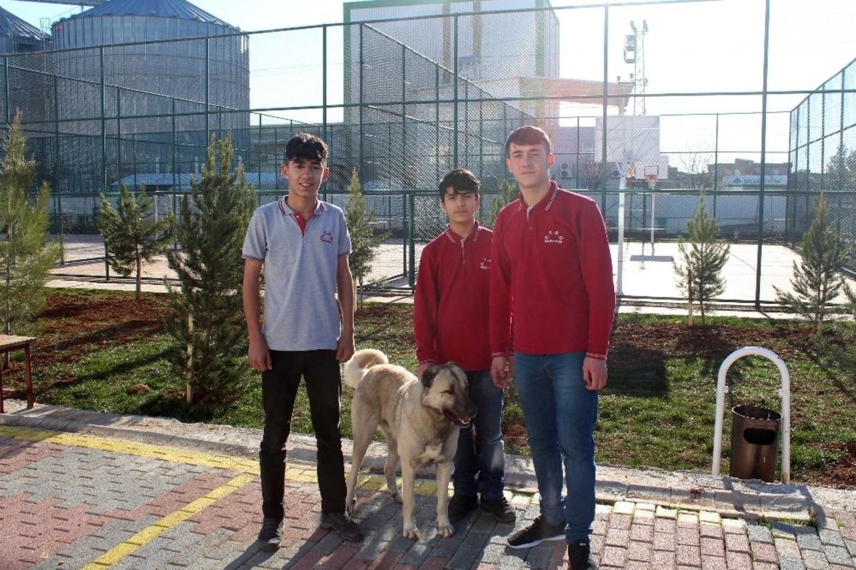 &Ouml;ğretmenlerinden izin alıp dersten &ccedil;ıktılar, tellere takılan k&ouml;peği kurtardılar