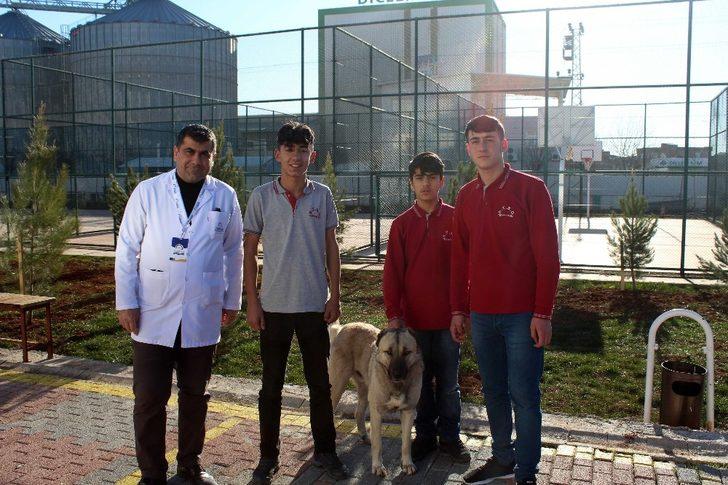 Öğretmenlerinden izin alıp dersten çıktılar, tellere takılan köpeği kurtardılar G2