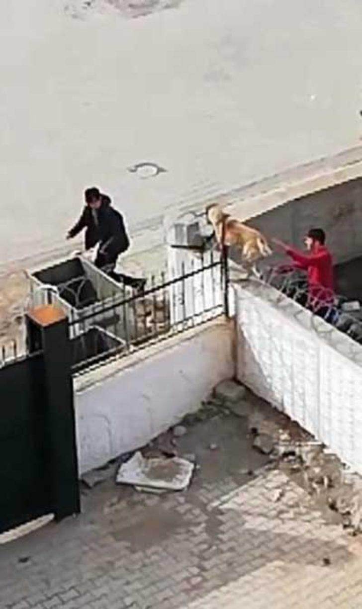 Öğretmenlerinden izin alıp dersten çıktılar, tellere takılan köpeği kurtardılar G3