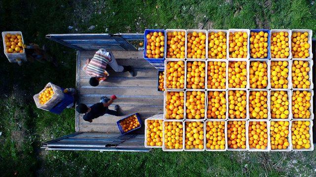 Tarımda 'hümik asitli' yerli gübre hamlesi  
