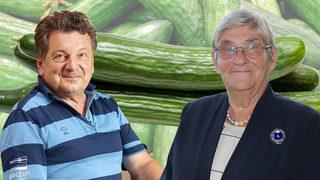 Vedat Milor'dan Canan Karatay'a hıyar göndermesi