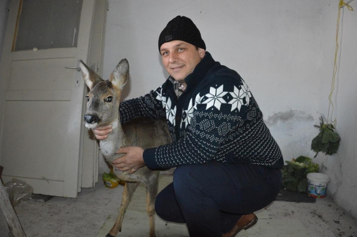 Dereye d&uuml;şen yaralı karacanın imdadına vatandaş yetişti