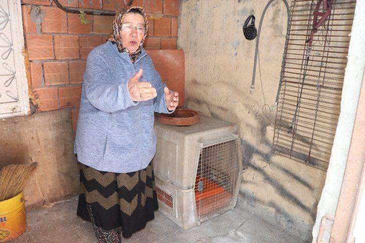 Kayıp köpeğini bulana ödül verecek G3