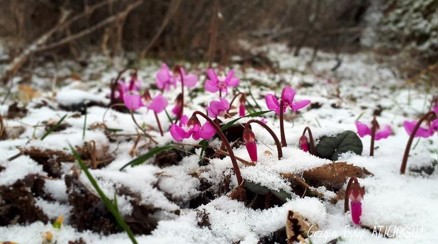 Doğa y&uuml;r&uuml;y&uuml;ş&uuml; eşliğinde fotoğraf yarışması