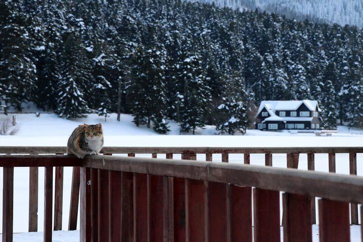 Gölcük Tabiat Parkı bembeyaz! G5