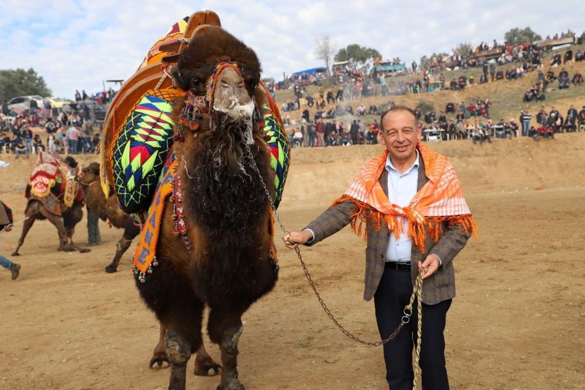 Turgutlu Belediyesi geleneksel deve g&uuml;reşlerine hazırlanıyor