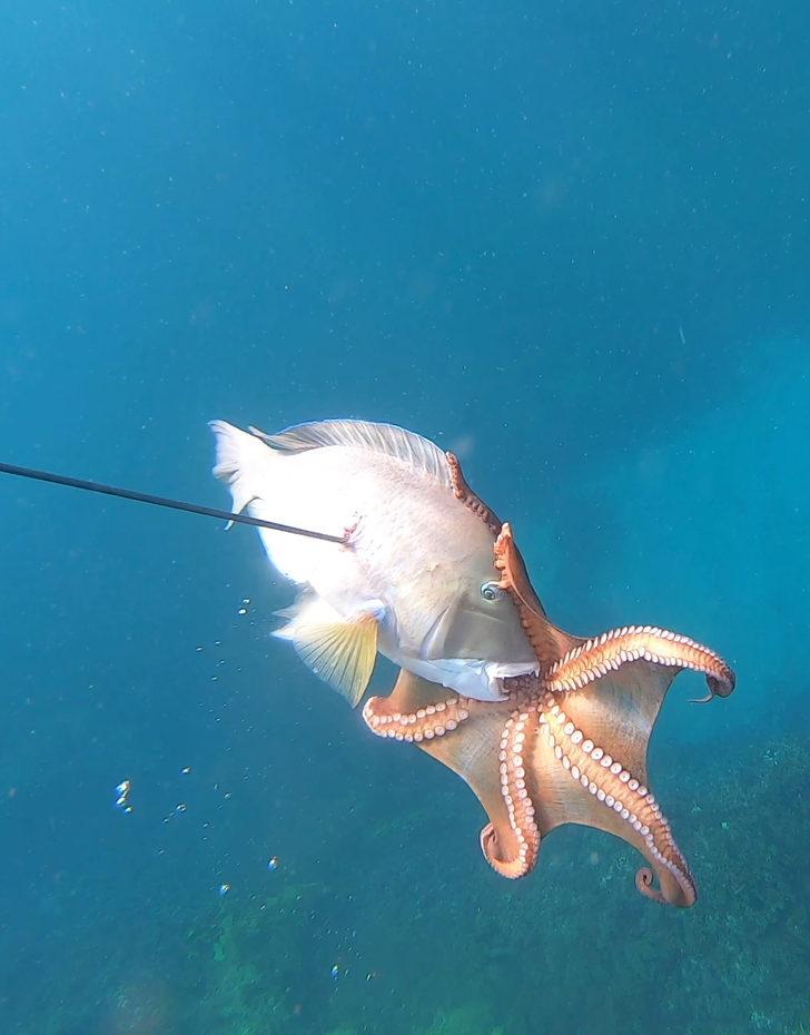'Böylesini daha önce hiç görmemiştik!' G1