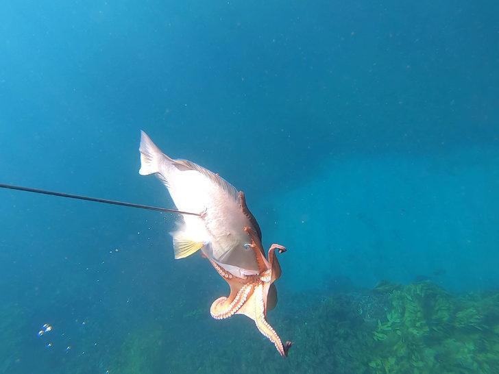 'Böylesini daha önce hiç görmemiştik!' G2