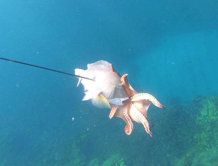 'Böylesini daha önce hiç görmemiştik!' G3