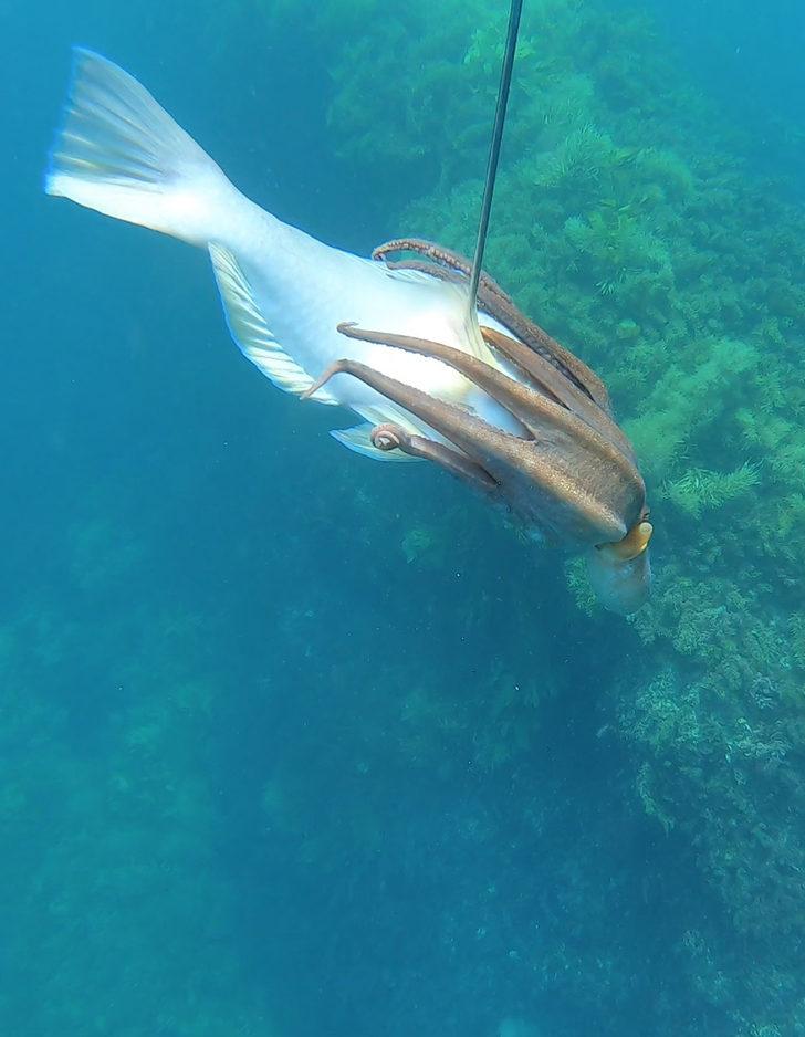 'Böylesini daha önce hiç görmemiştik!' G4