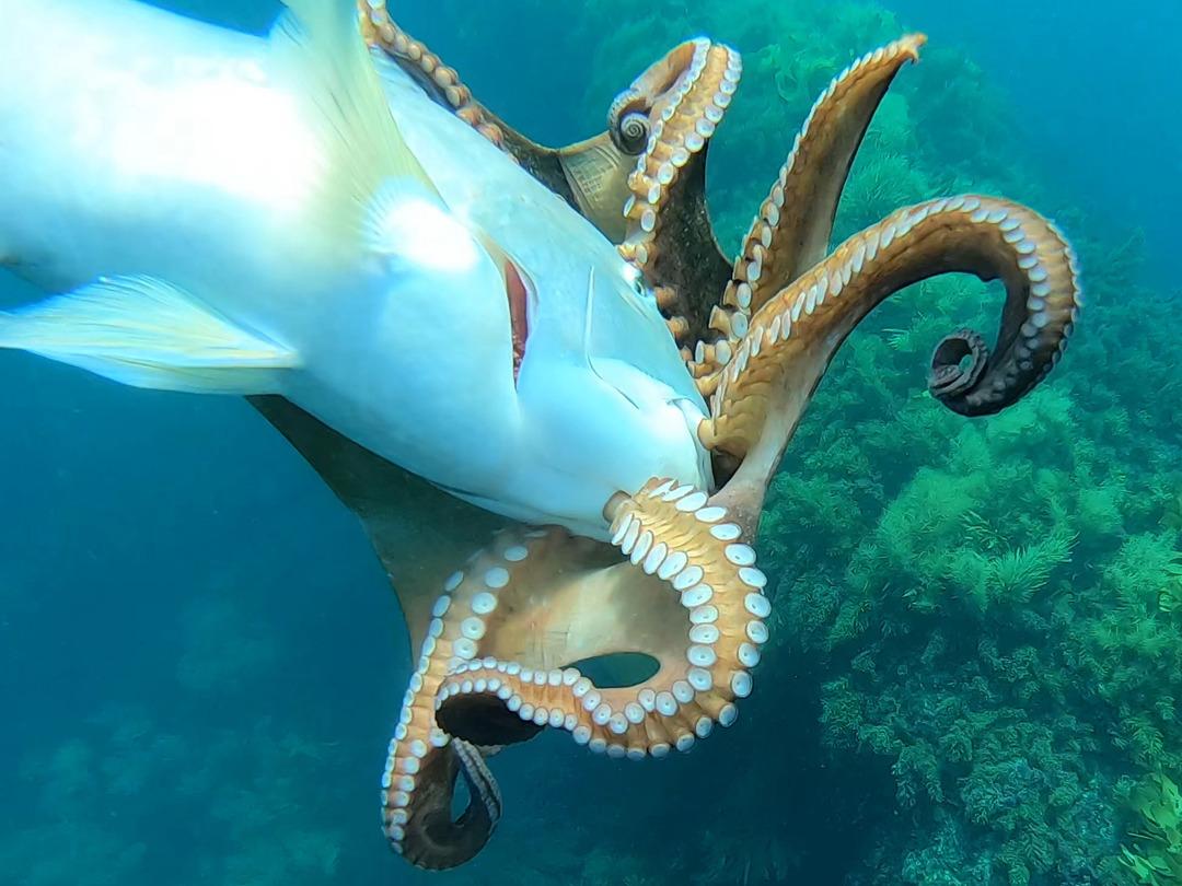 'B&ouml;ylesini daha &ouml;nce hi&ccedil; g&ouml;rmemiştik!'