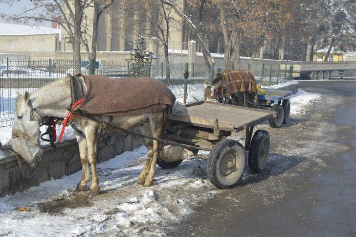 Ağrı’da kar yağışı ve soğuk hava hayatı olumsuz etkiliyor G3