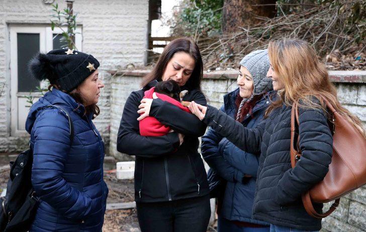 7 yavru köpek zehirlenerek öldürüldü, kurtulan yavruya sarılıp ağladılar G2