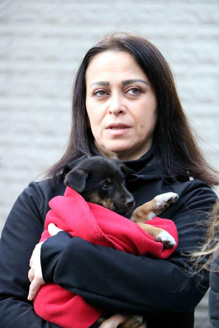 7 yavru köpek zehirlenerek öldürüldü, kurtulan yavruya sarılıp ağladılar G3