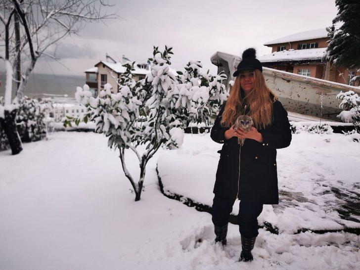 Yavru baykuşa gözü gibi bakıyor G3