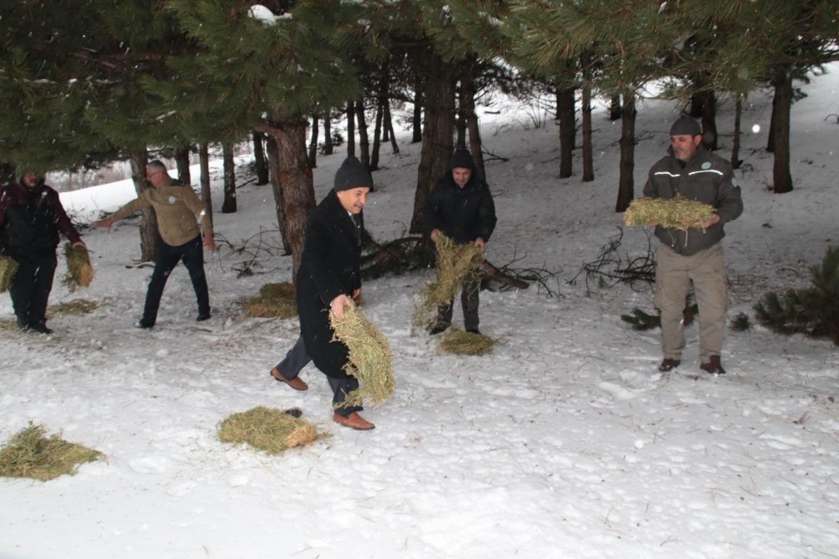 Akşehir&rsquo;de yabani hayvanlar i&ccedil;in doğaya yem bırakıldı