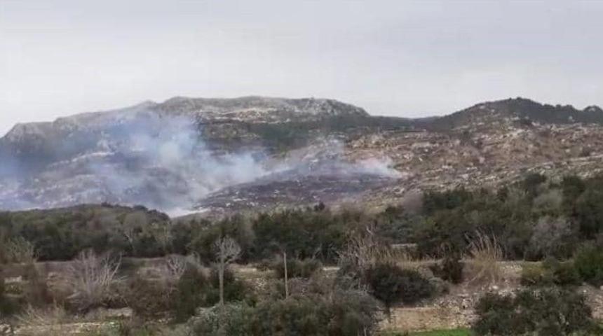 Samandağ&rsquo;da bitki &ouml;rt&uuml;s&uuml; yangını
