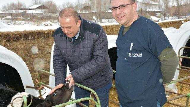 Aksaray’da hayvancılık işletmeleri denetleniyor