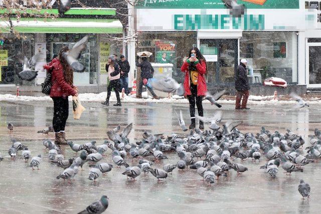 Aksaray’da soğuk havada kuşlara vatandaşlardan yem