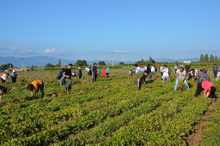 Aromatik bitki yetiştiriciliği kursu başvuruları başlıyor G3