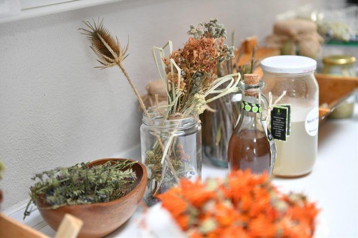 Aromatik bitki yetiştiriciliği kursu başvuruları başlıyor G4