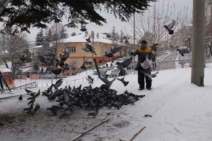 Tosyalı Esnaflar Kuşlara Yem Bıraktı G2