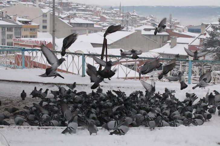 Tosyalı Esnaflar Kuşlara Yem Bıraktı G3