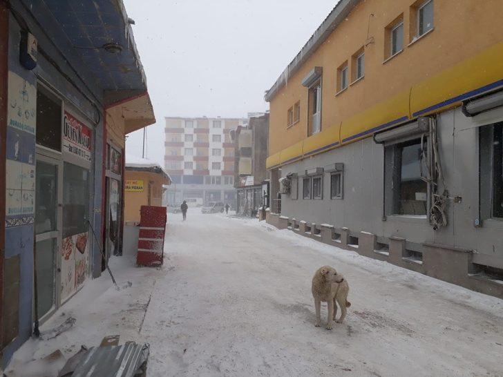 Ağrı’da tipi hayatı felç etti G2