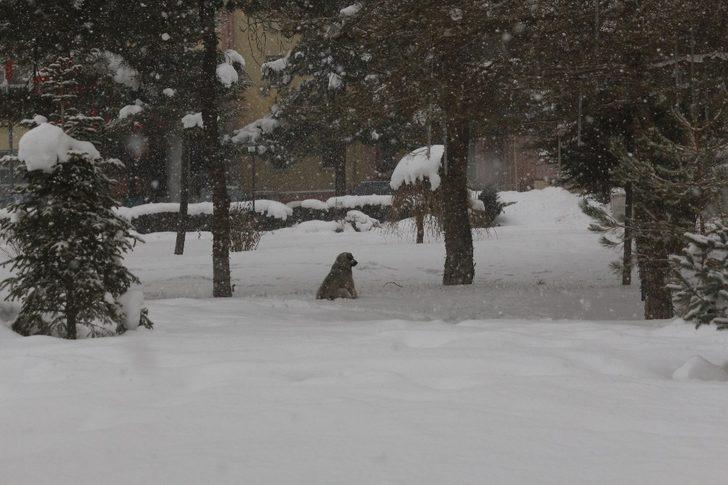 Van’da yoğun kar yağışı G5