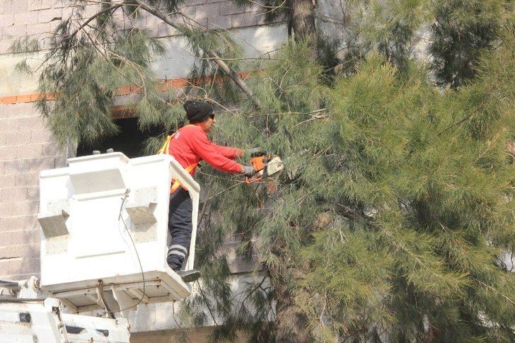 Çiğli Belediyesinden 10 binlik rekor G4