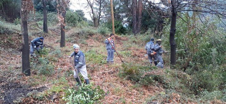 Alanya’daki mezarlıklarda kapsamlı temizlik G3