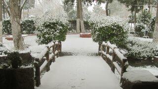 Araban'da 10 yıl sonra ilk kez yoğun kar yağışı