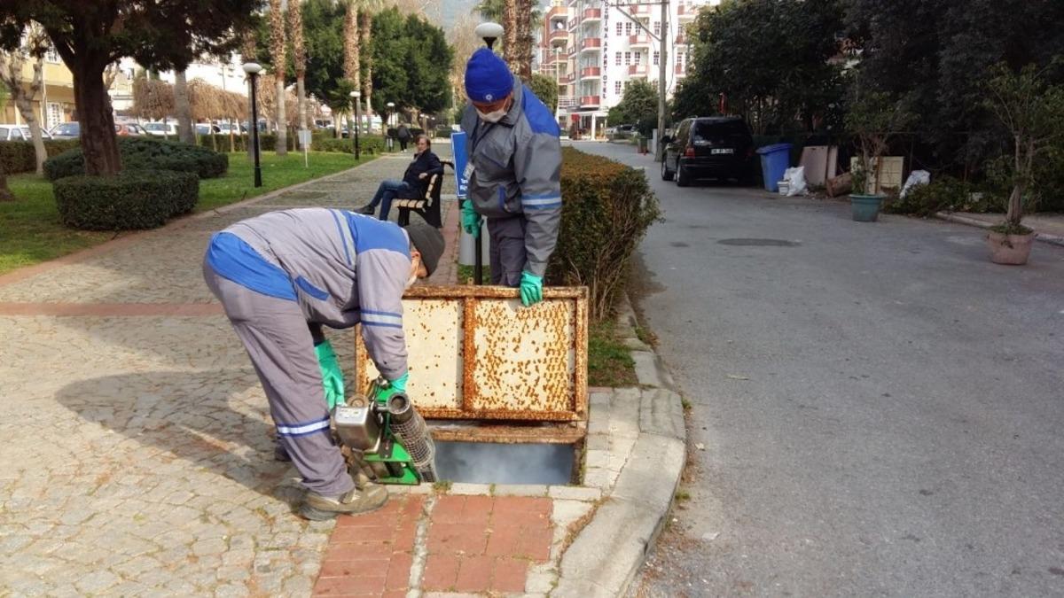 Sinekle m&uuml;cadele kimyasal, biyolojik ve fiziksel &ccedil;alışma ile s&uuml;r&uuml;yor